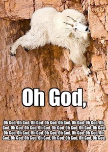 goat-climbing-oh-god-oh-god